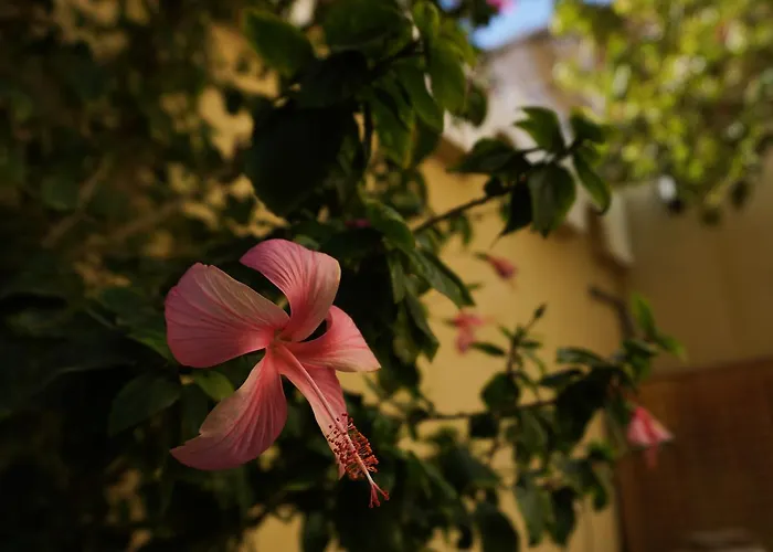 Dahabcastle Dahab